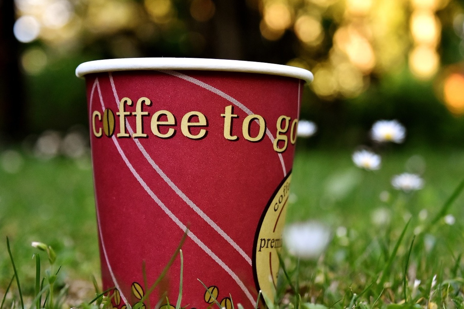 Calls for a \'latte levy\' to be added to paper coffee cups 
